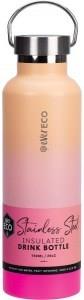 Ever Eco Insulated Stainless Steel Bottle Rise 750ml