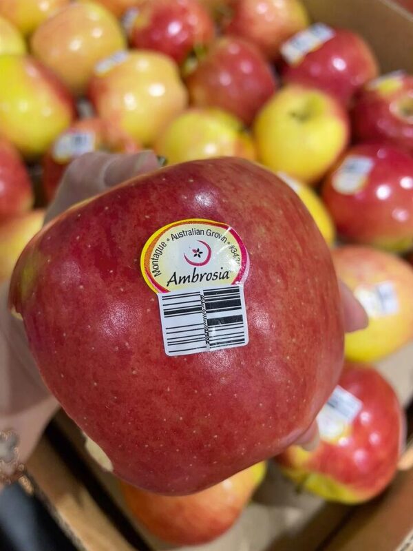 Ambrosia Sweet and Crisp Apples - 1.1-1.2kg
