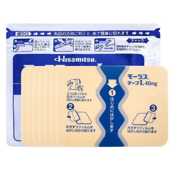Hisamitsu Pain Relief Patches - 7 Patches