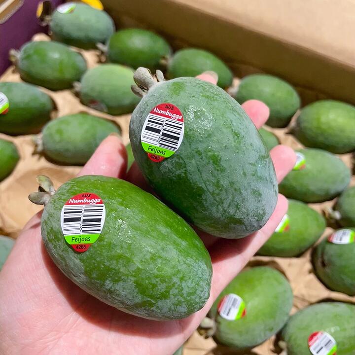 Fiji Fruits - Pack of 2