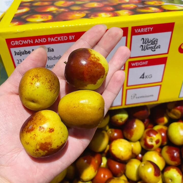 Super Sweet Winter Wonder Dates, 500g