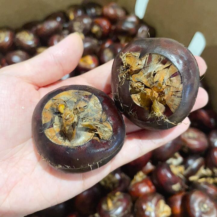 Water Chestnuts 500g