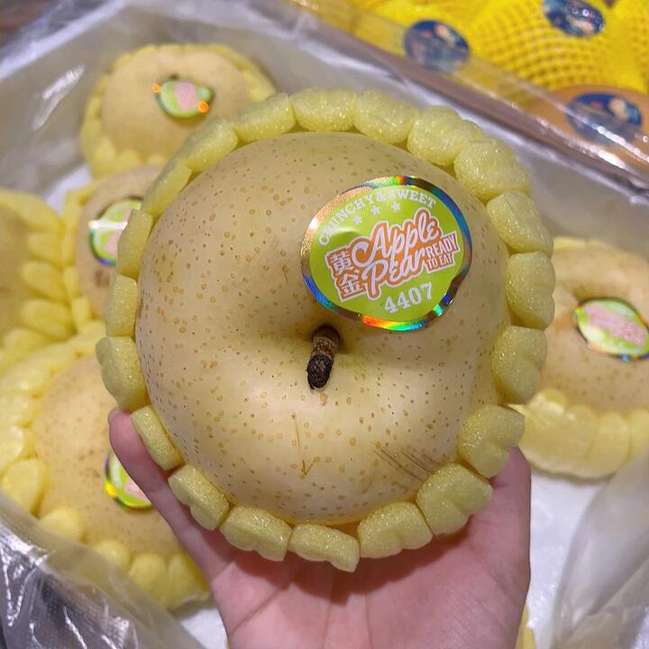 Sugar Pear - 1 Piece