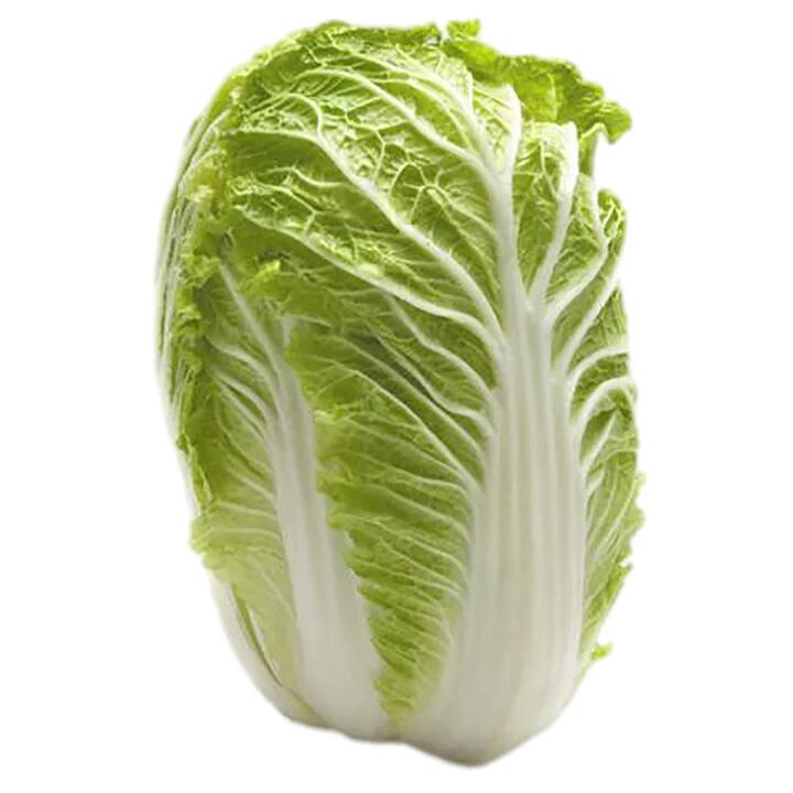 Whole Chinese Cabbage
