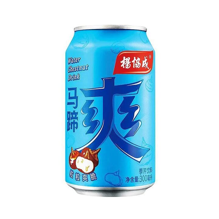 Yeo's Water Chestnut Drink - 300ml