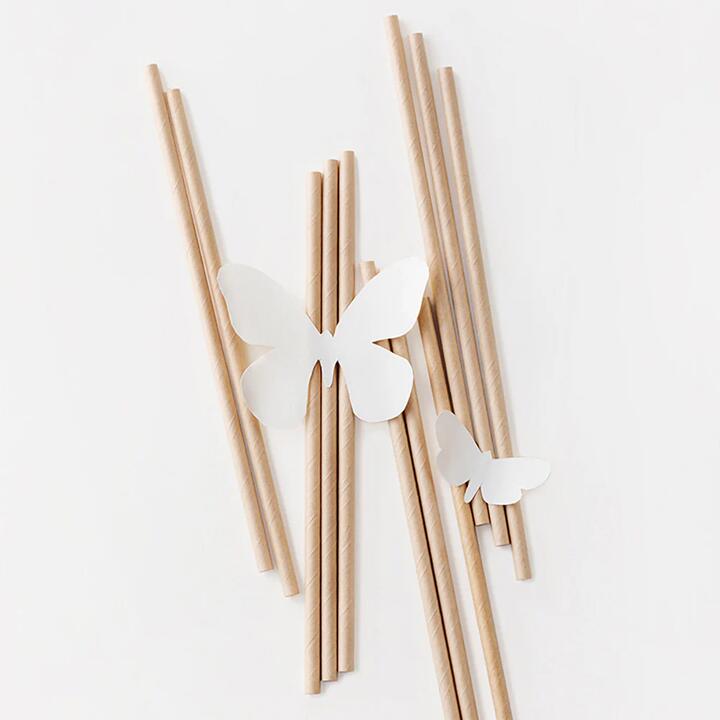 Camellia Natural Colour Paper Straws, Straight, Pack of 50