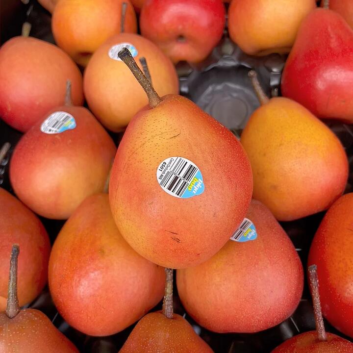 Australian Piqa Boo Pears - 2 Pieces