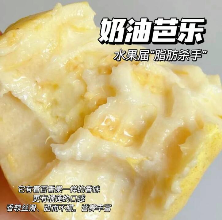 Creamy White Guava - 500g
