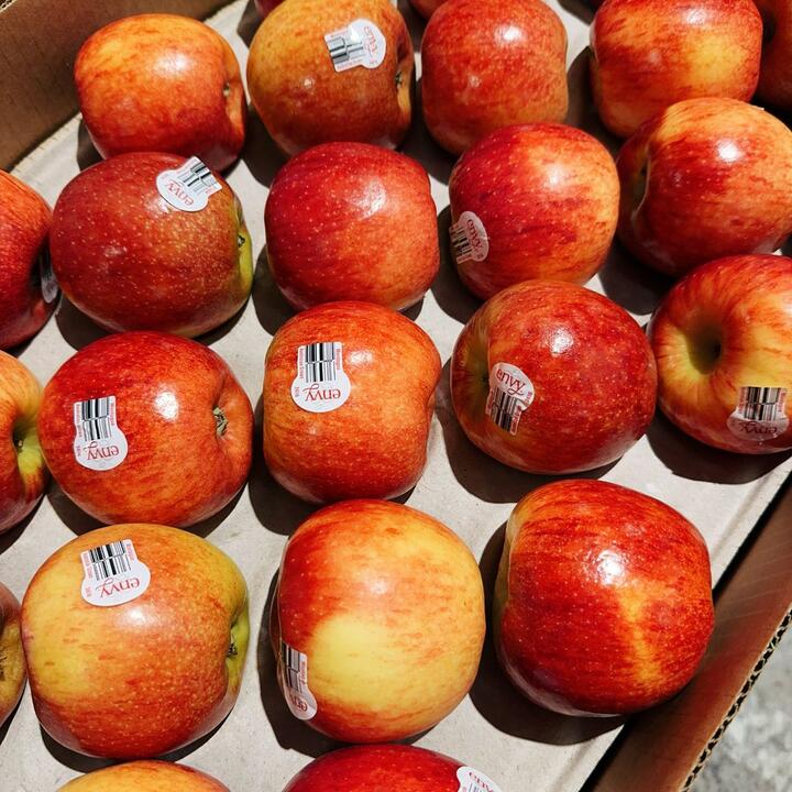 Australian Envy Apples - 2 Pieces