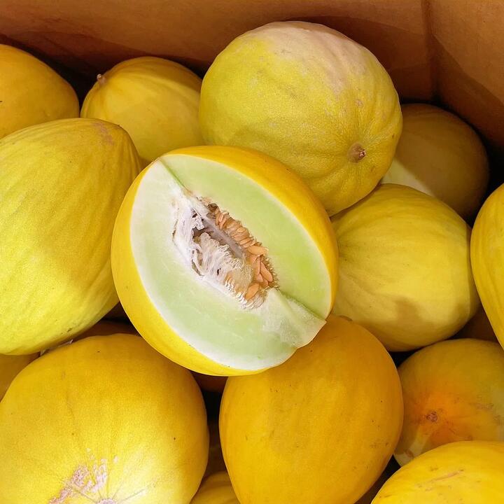 Mini Candy Melon - 1 Piece