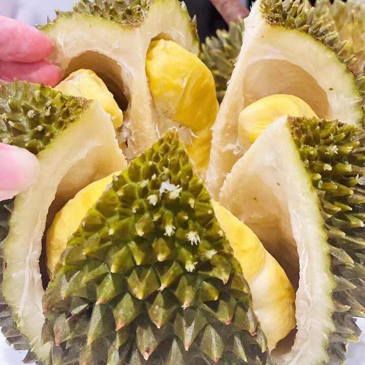 Dking Musang King Durian - Large, Approx. 2kg Each