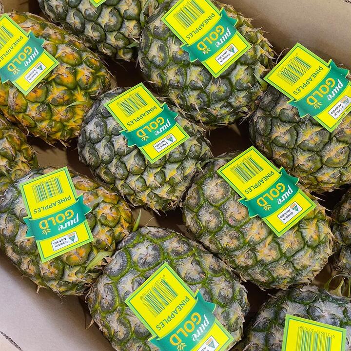 Pure Gold Pineapple from Queensland - 1 Piece