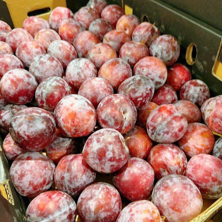Large Pointed Black Plums - 1kg