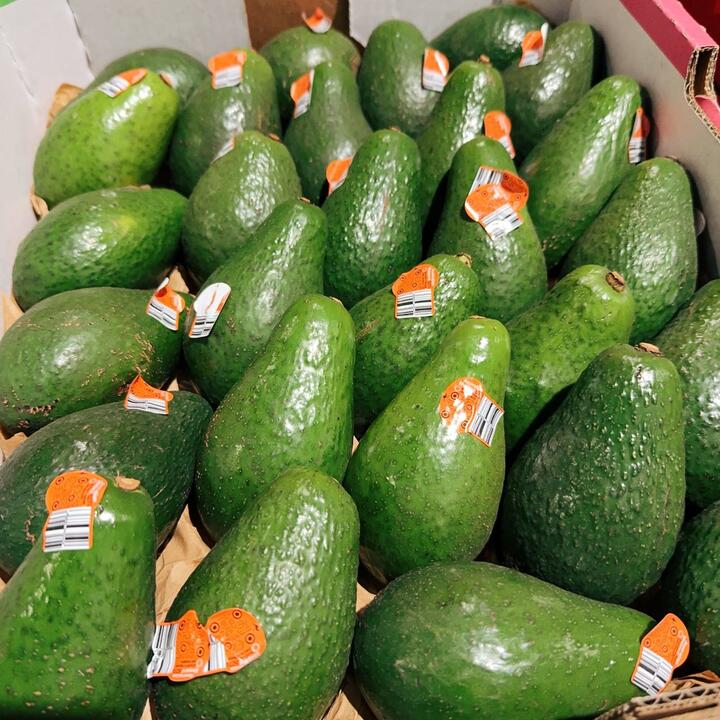Australian Local Avocado - 1 Piece