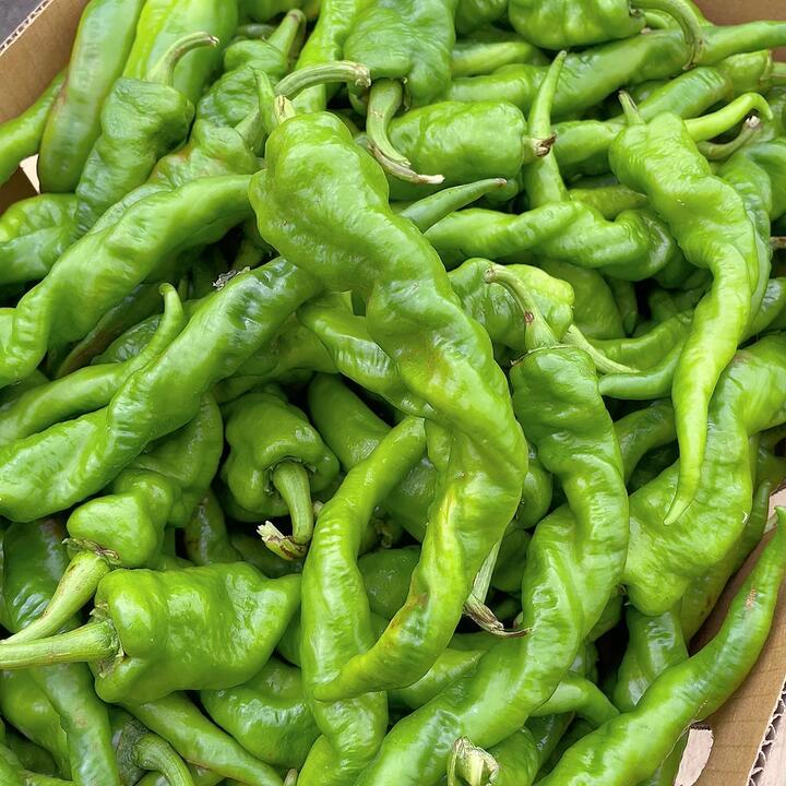 Fresh Spiral Peppers - 500g