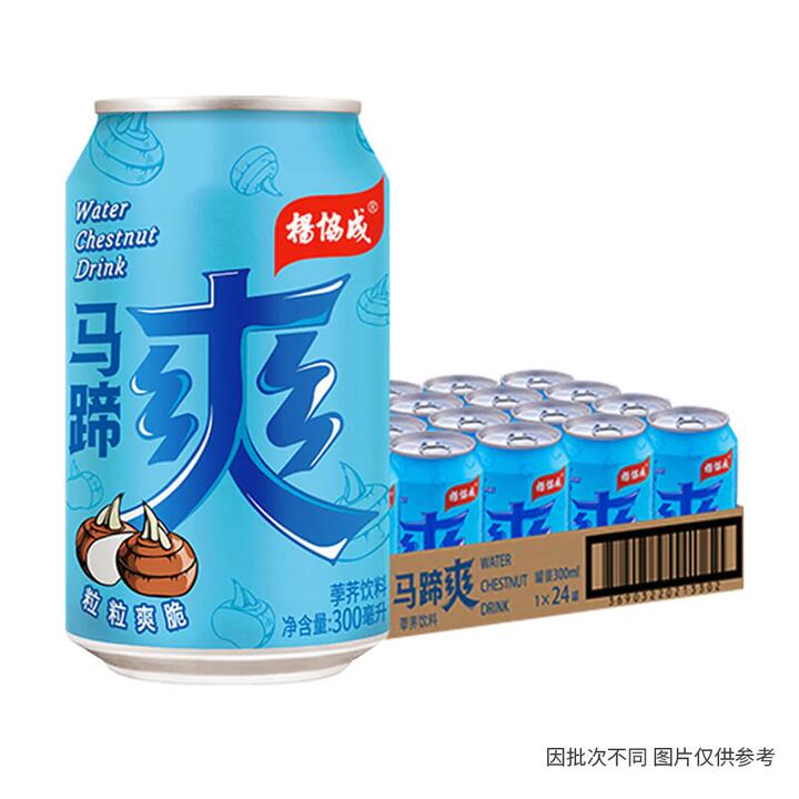 Yeos Water Chestnut Drink - 300ml x 24 Cans