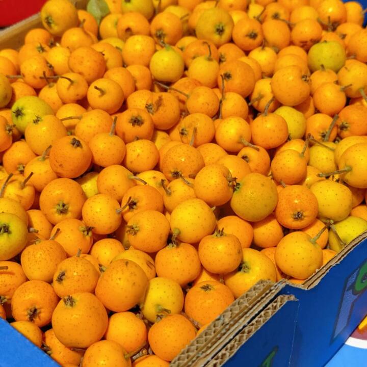 Rare Yellow Sand Pears - 300g