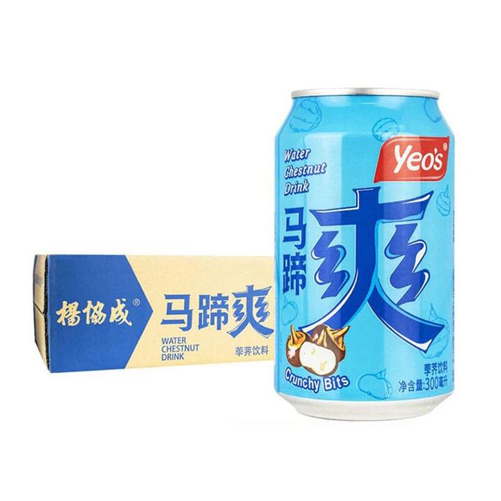 Yeo's Water Chestnut Drink with Crunchy Bits - 300ml, Pack of 24