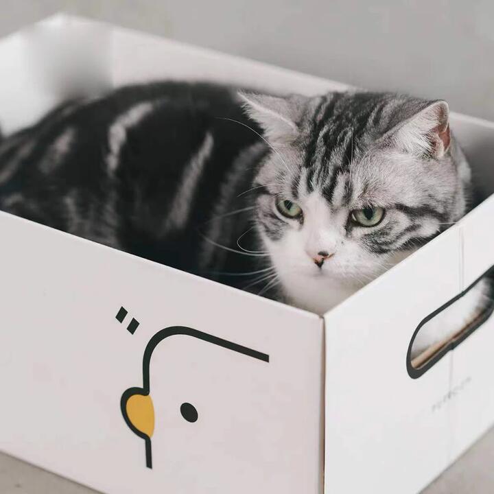 Purroom New Cat Scratching Box - Chicken Pattern