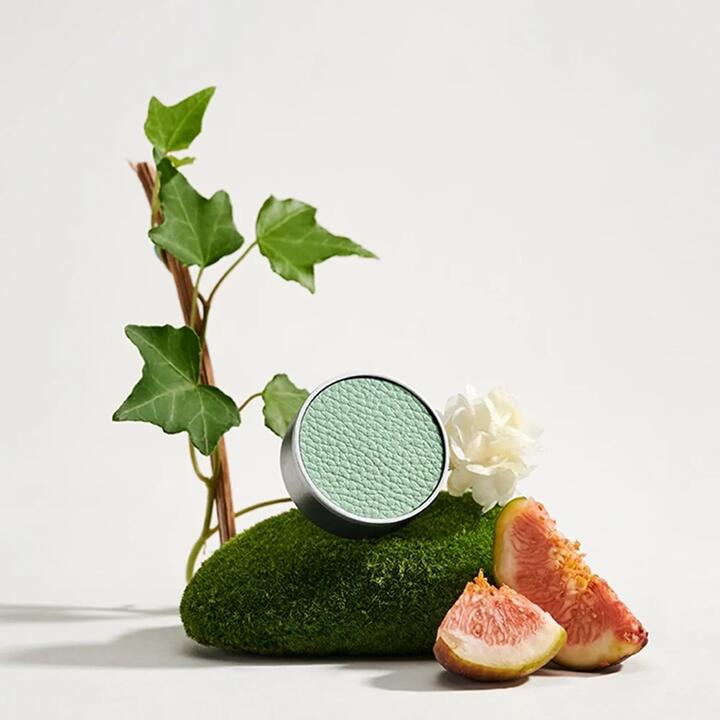 Lifease Sense of Breath Car Air Freshener Refill - Leafy Glade - 4g