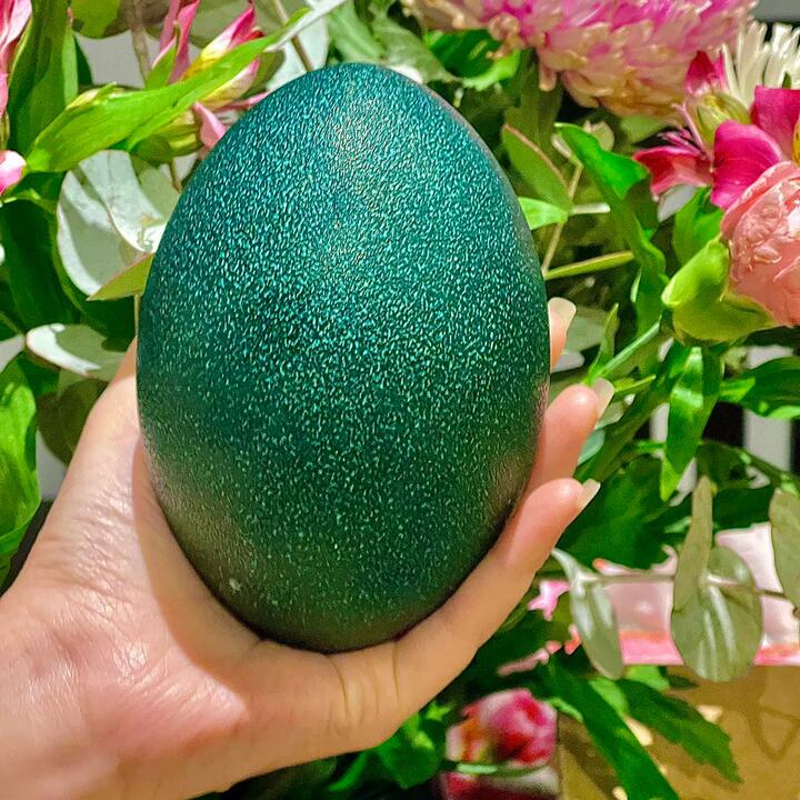 Emu Egg - 1 Piece, Approx. 490g
