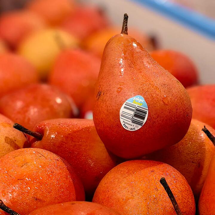 Piqa Boo Ruby Pears - 1-1.1kg