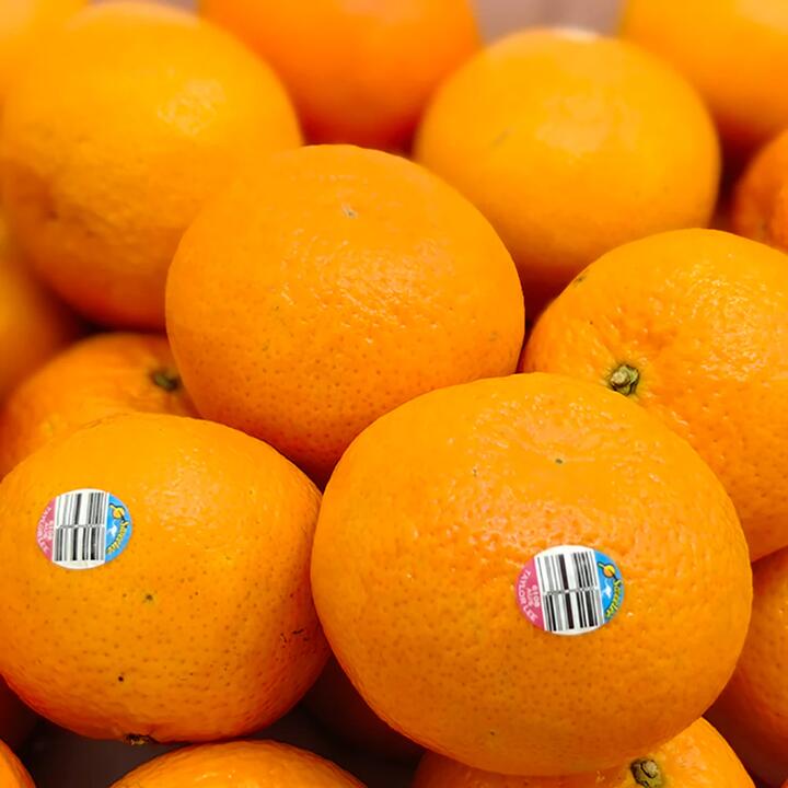 Taylor Lee Australian Mandarins - 1.1-1.2kg
