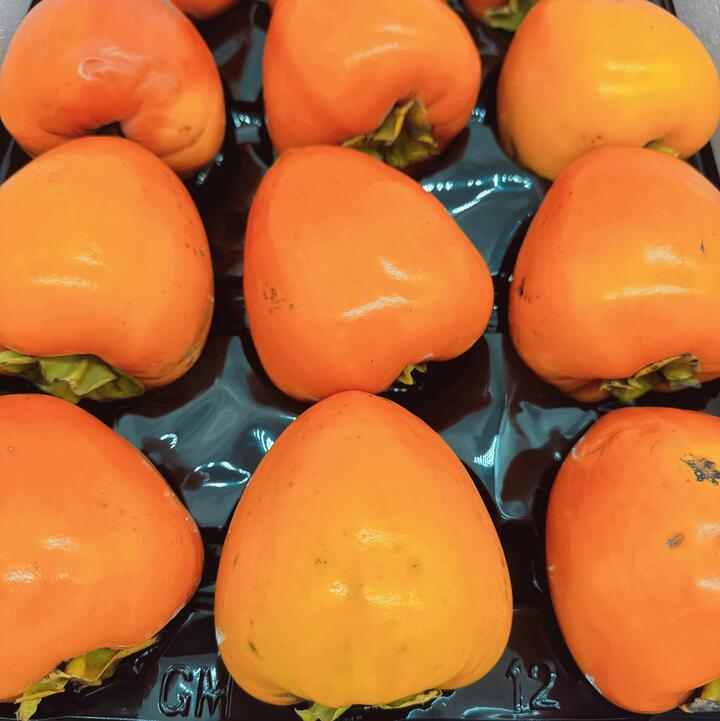 Large Bull Heart Soft Persimmon - 1 Piece