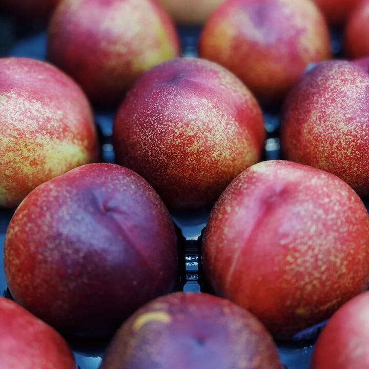 Fresh Air-Flown Large American Nectarines - 2 Pieces