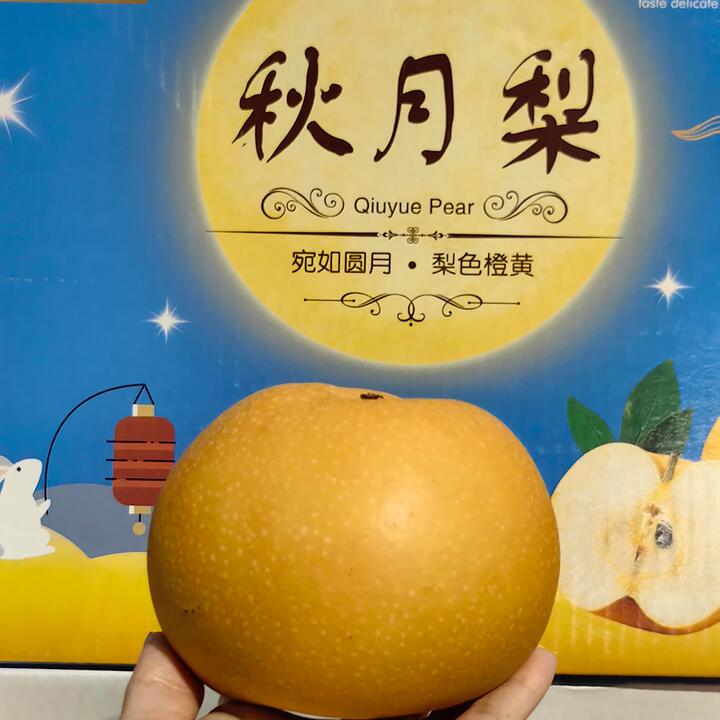 Qiuyue Pear - 1 Piece