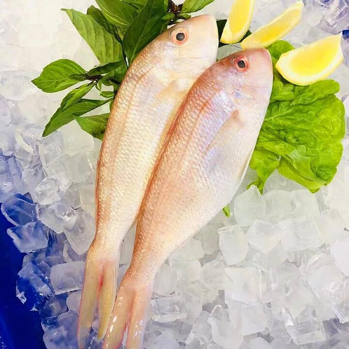 Frozen Local Red Snapper - Approx. 500g