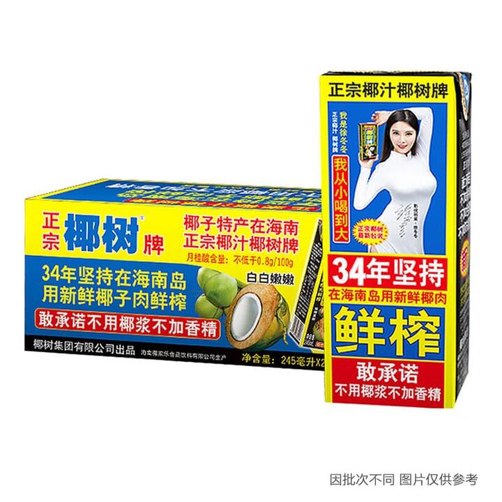 Yeshou Coconut Milk - 245ml x 24 Boxes
