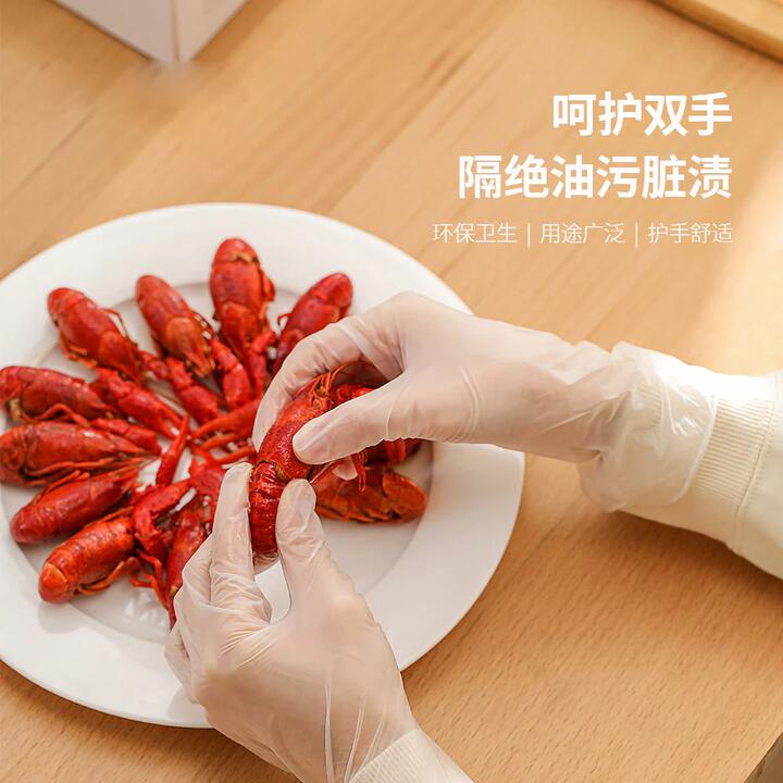 FaSoLa Disposable PVC Gloves Transparent L Size - 100 Pieces