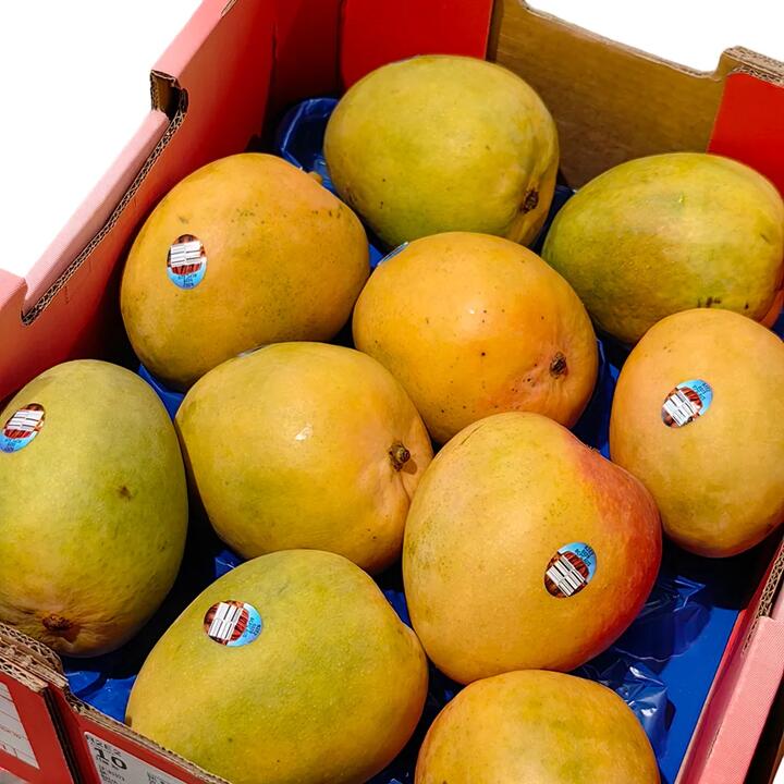 R2E2 Mango - Large, 1 Piece