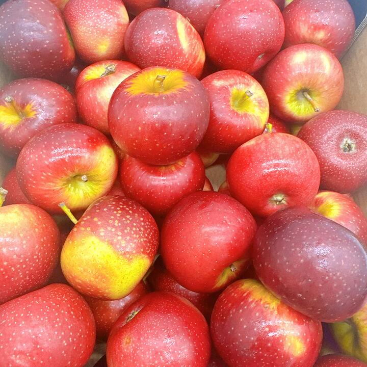 Baby Bravo Apples - 1kg
