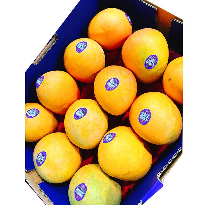 R2E2 Mangoes - Large Size 12, Box