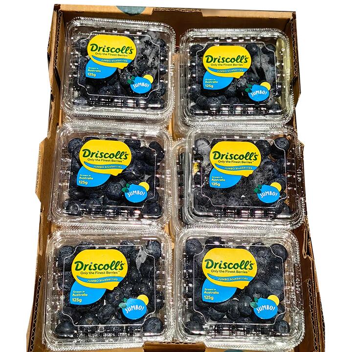 Driscoll's Jumbo Blueberries - Box of 12 Packs