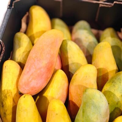 Maha Mangoes - 2 Pieces