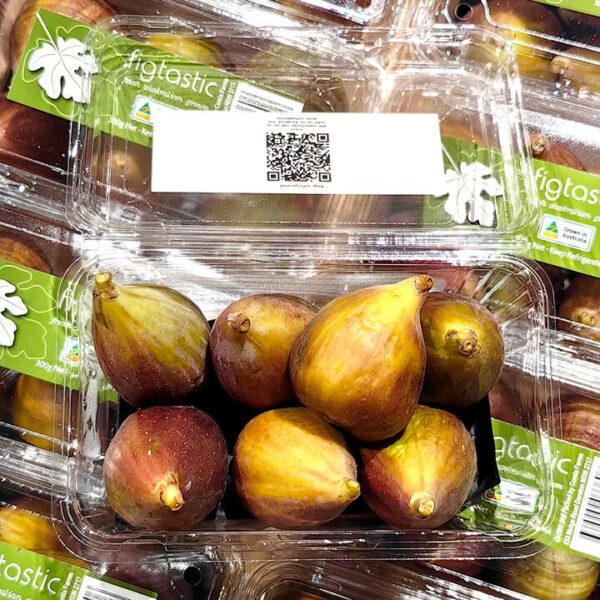 Figtastic Fresh Figs - 300g