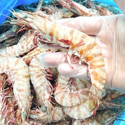 Tarni Raw Brown Tiger Prawns Size 16/20 - 500g