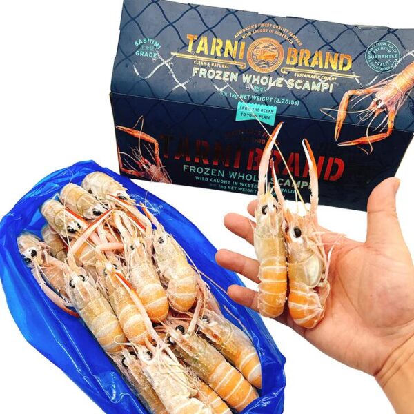 Tarini Brand Frozen Whole Scampi NO.5 - 1kg