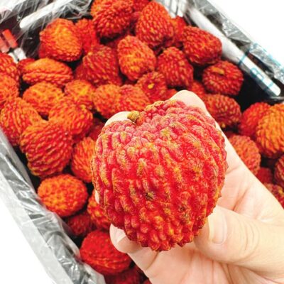 Dinosaur Egg Lychee King - 300g