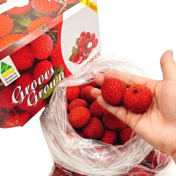 Premium White Sugar Lychee Gift Box - 2kg
