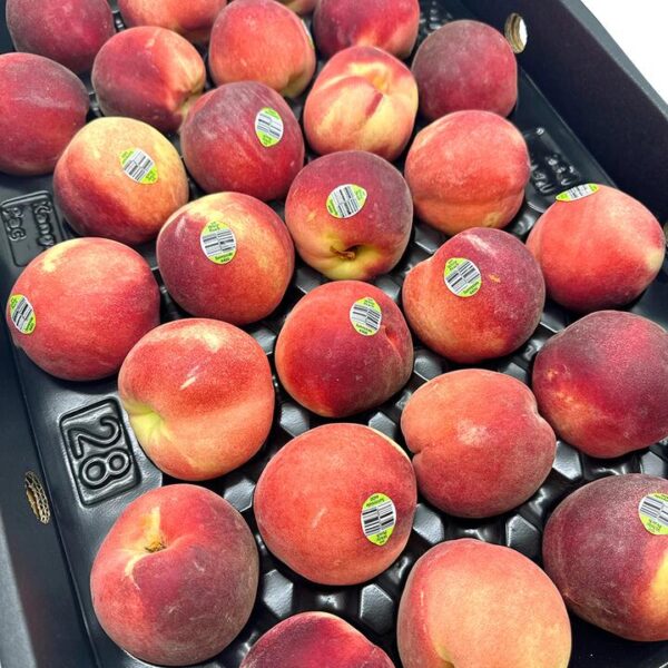 Watermelon Peach - 4 pcs