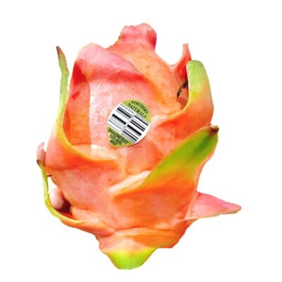 Queensland Red Heart Dragon Fruit - 1 piece