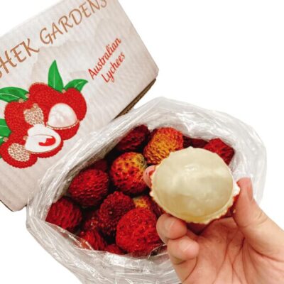 Kam Shek Gardens Dinosaur Egg Lychee King Gift Box - 2kg