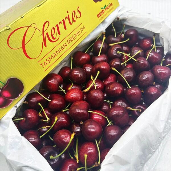 Reid Fruits Tasmanian Simone Cherries Gift Box 30mm+ - 2kg