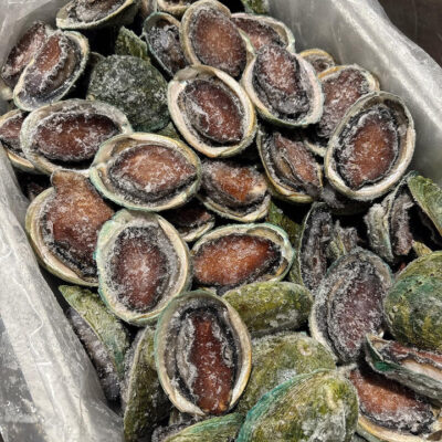 Tas Custom Frozen Black Gold Abalone 8-10 Pieces - 1kg