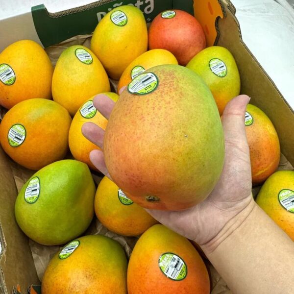 Honey Gold Mango - 1 Piece