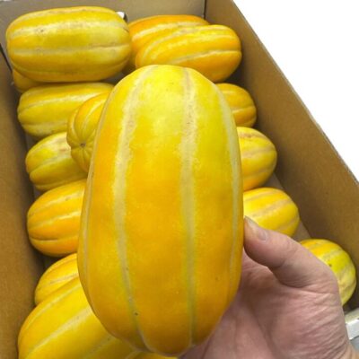 Fresh Korean Melon - 1 Piece, Australian Grown
